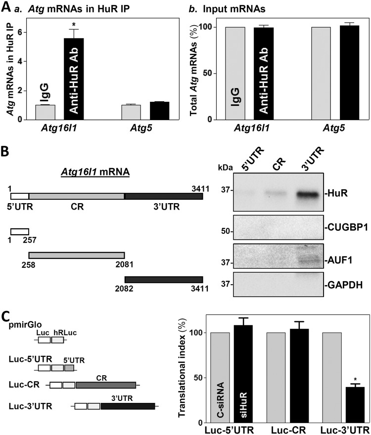 FIG 4