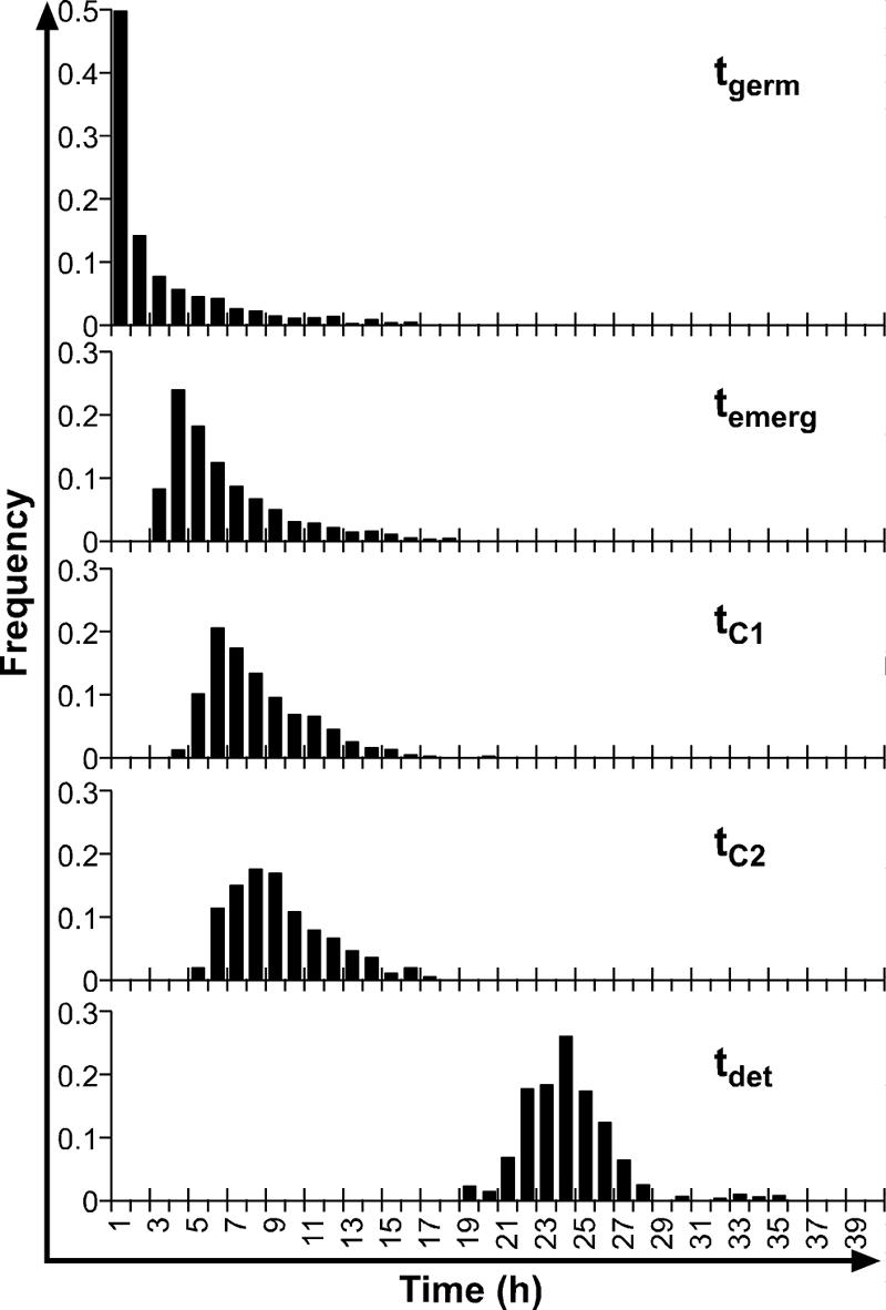 FIG. 1.