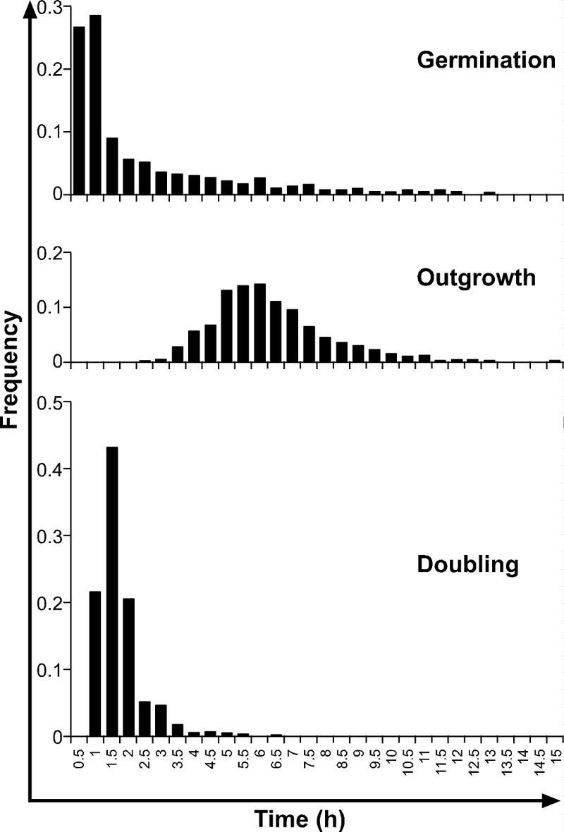 FIG. 2.