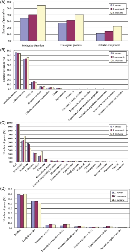 Figure 2.