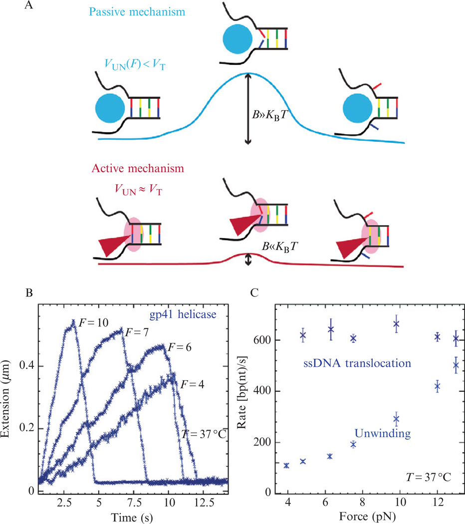 Figure 13.8