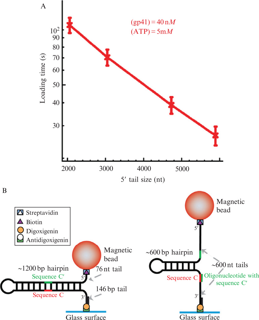 Figure 13.6