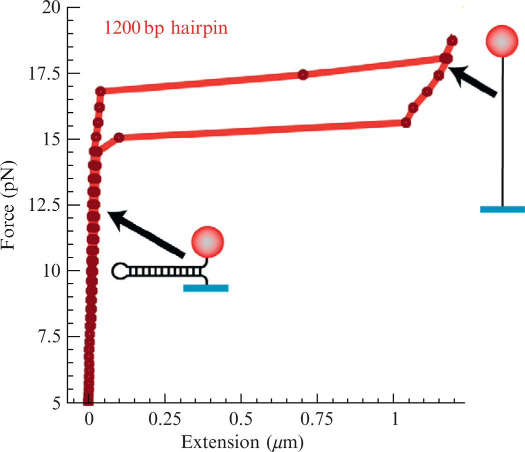 Figure 13.4