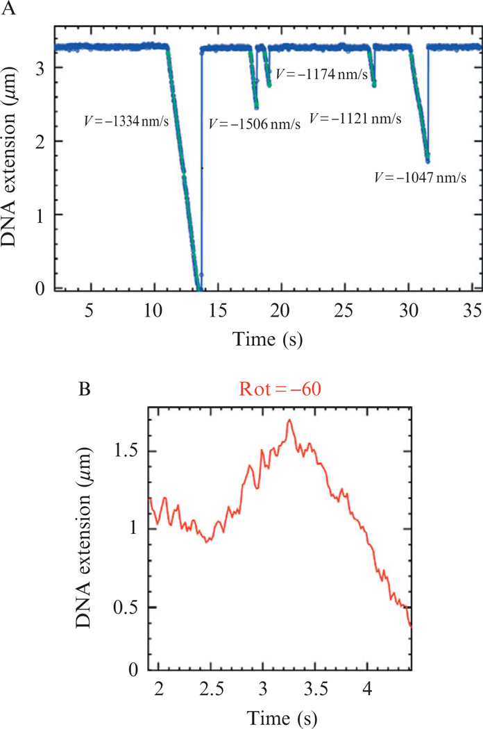 Figure 13.3