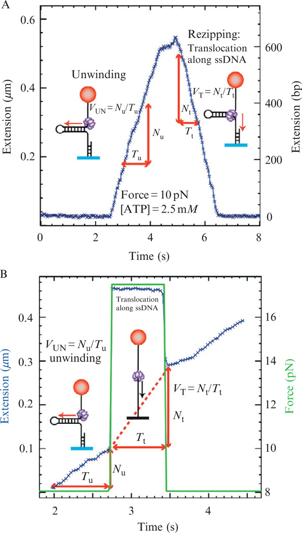 Figure 13.7