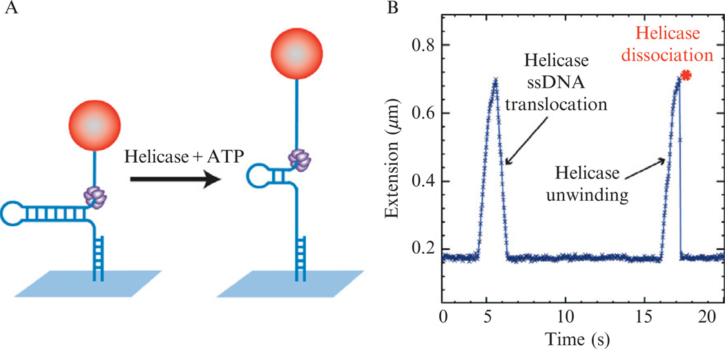 Figure 13.5