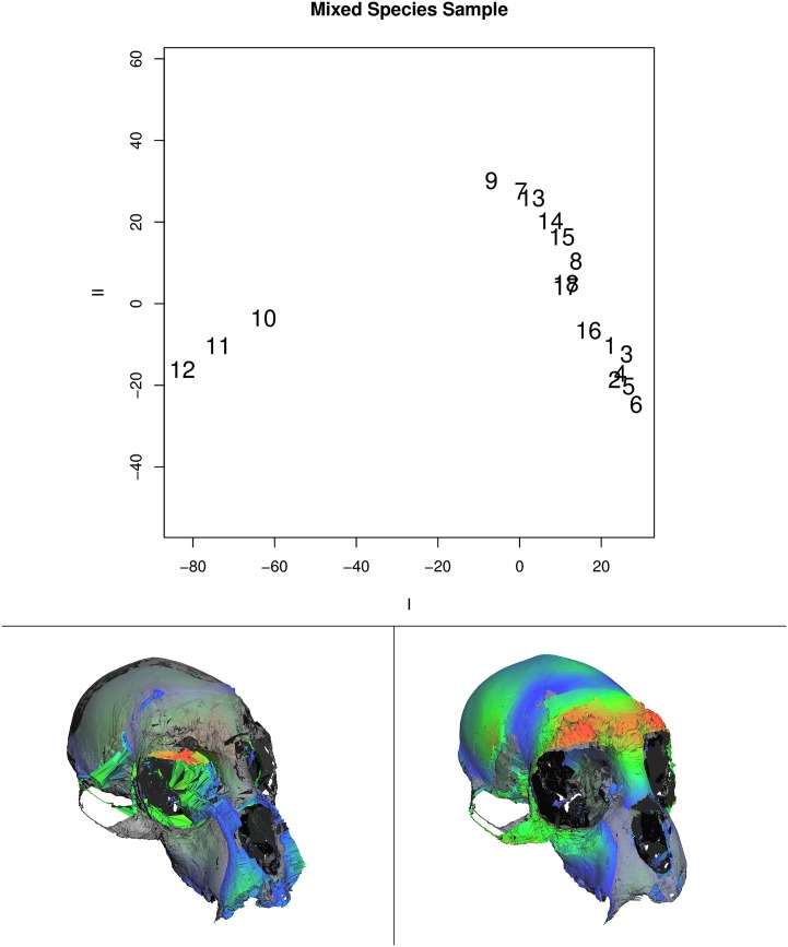 Fig 8