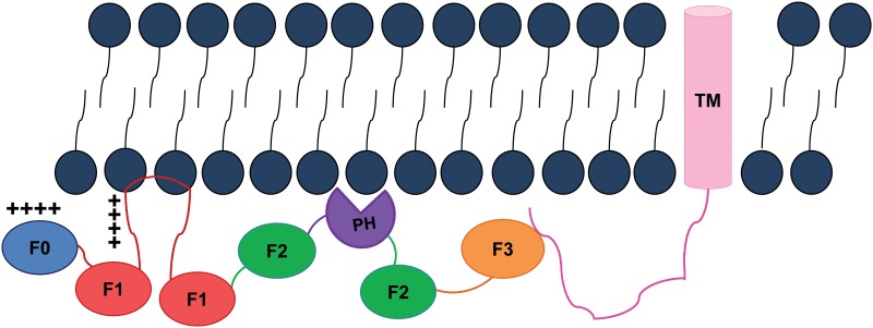 Fig 6