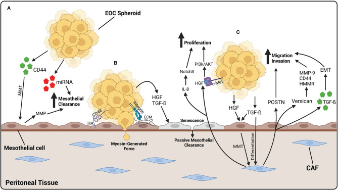 Figure 3