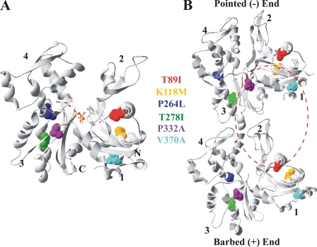 FIGURE 1.