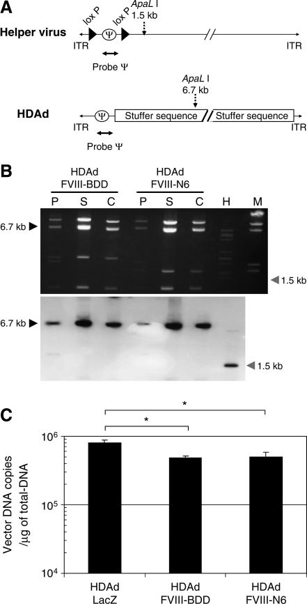 FIG. 4.