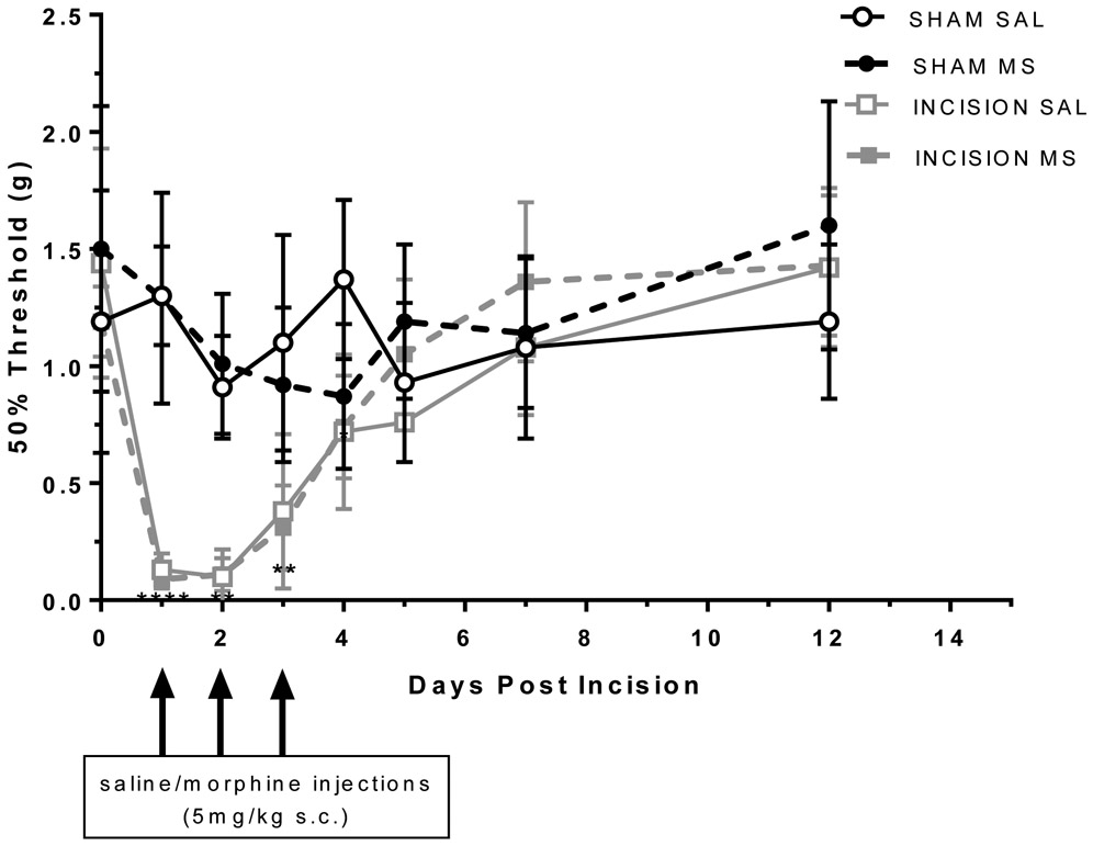 Figure 1: