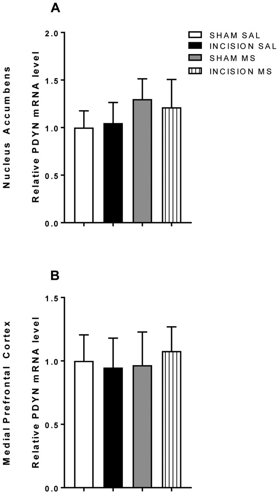 Figure 5: