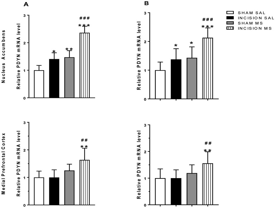 Figure 4: