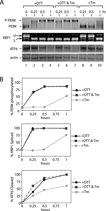 Figure 9.