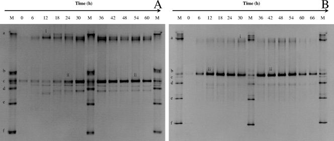 FIG. 3.