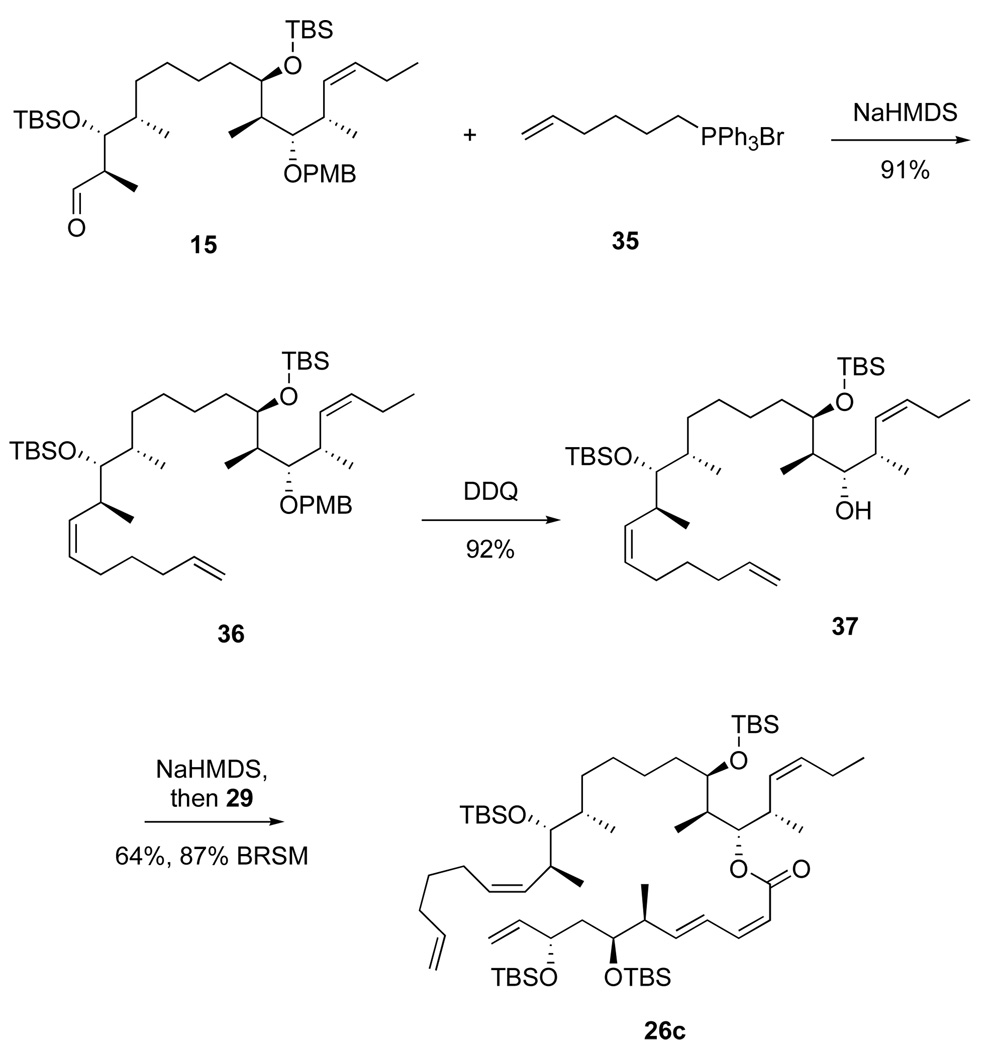 Scheme 8