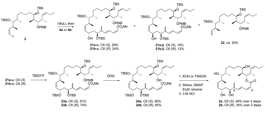 Scheme 5