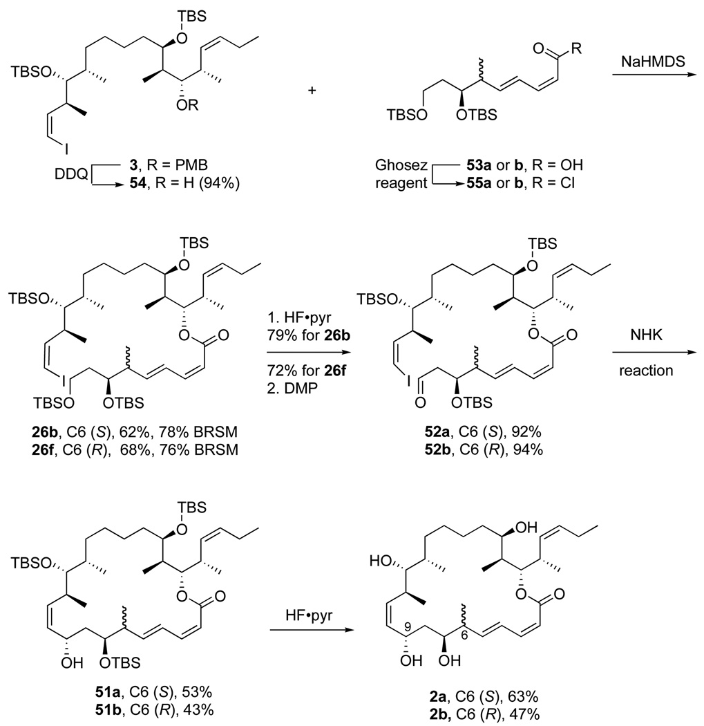 Scheme 12