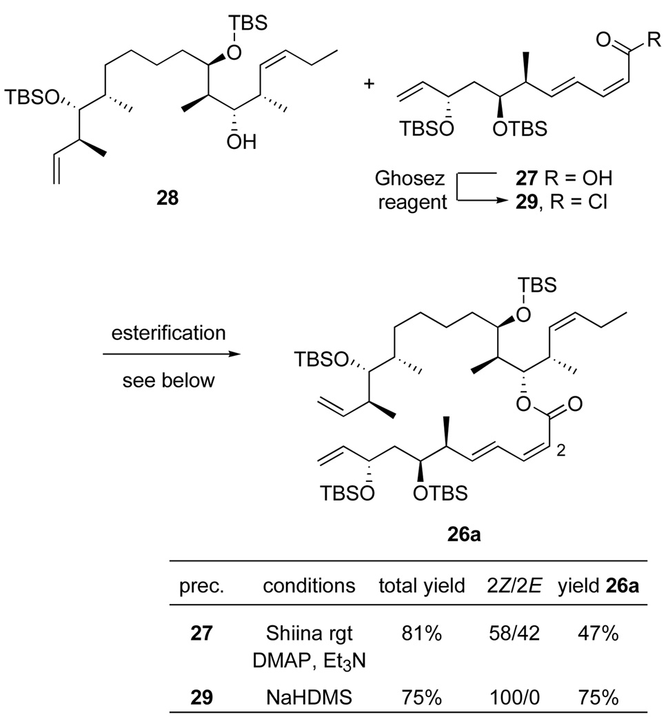 Scheme 6