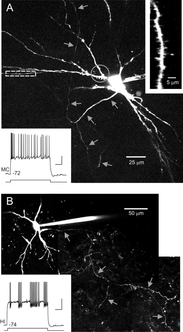 Figure 6.