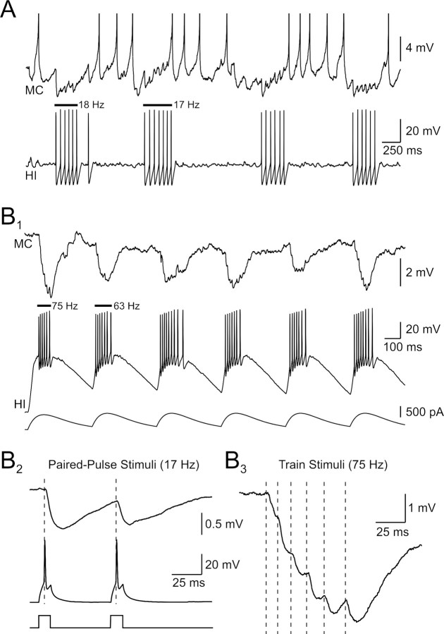 Figure 7.