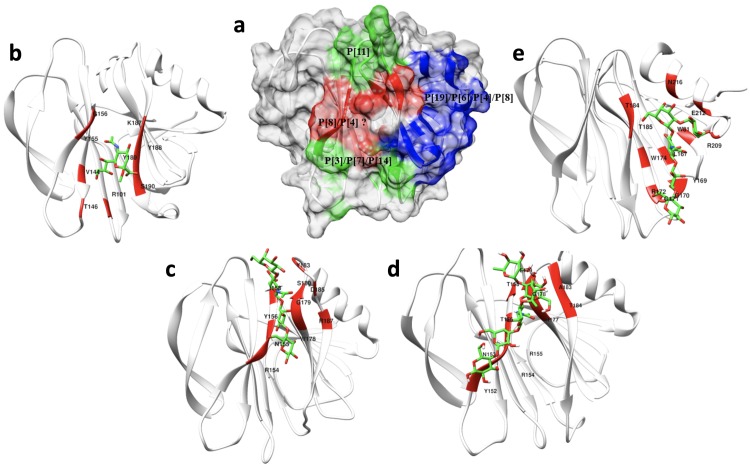 Fig 10