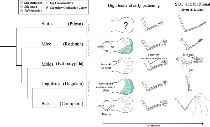 Figure 1: