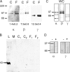F<sc>igure</sc> 2.
