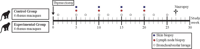 Figure 2: