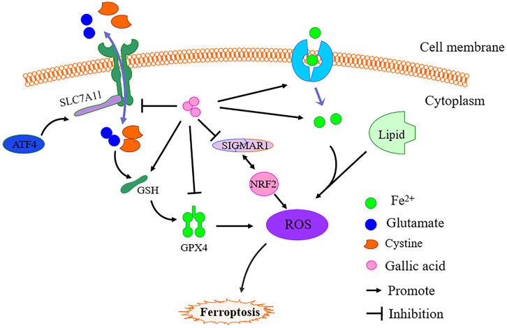 Figure 11