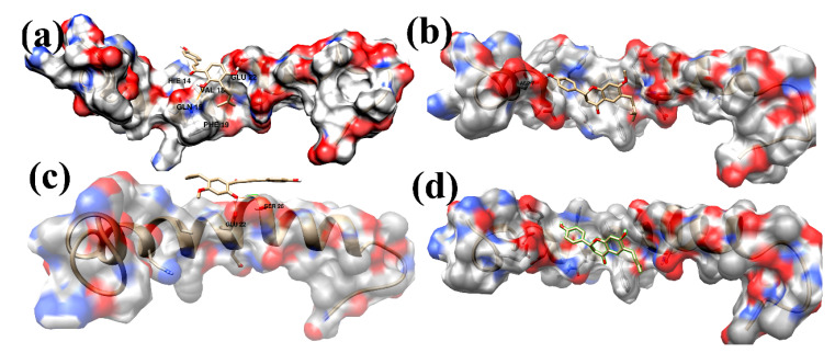 Figure 6