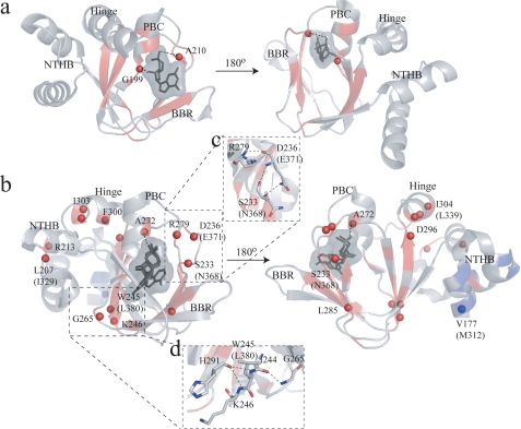 FIGURE 6.