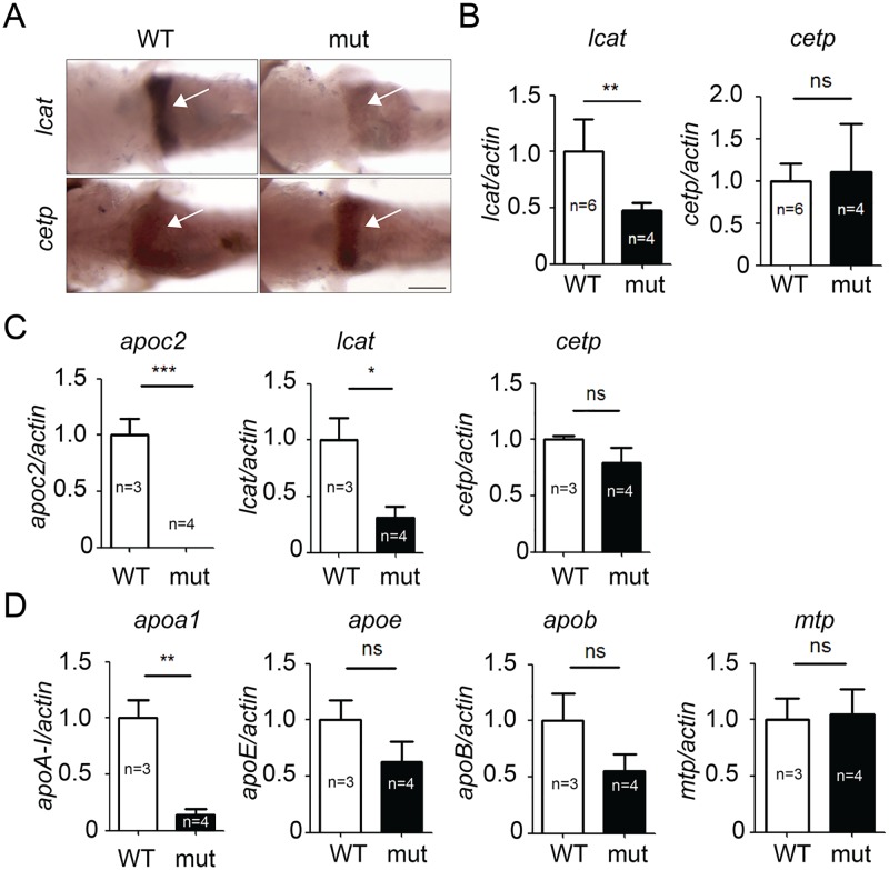 Fig 3