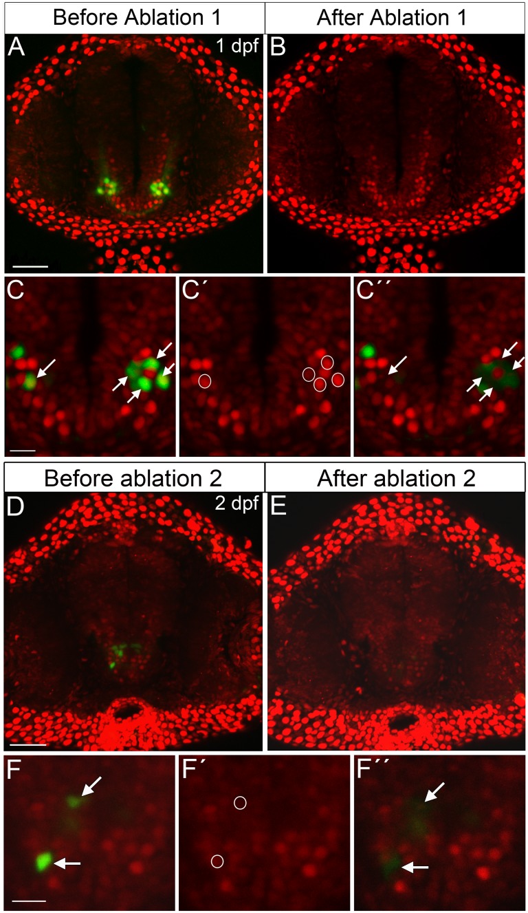 Fig 3