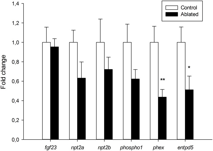 Fig 6