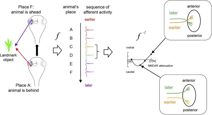 Figure 7