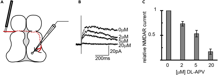 Figure 2