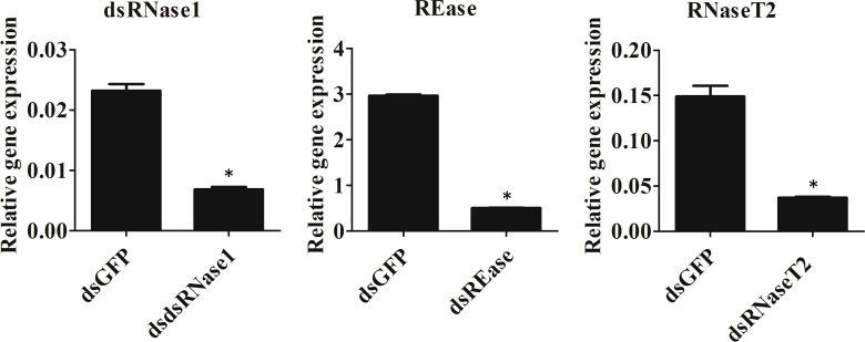 Figure 3