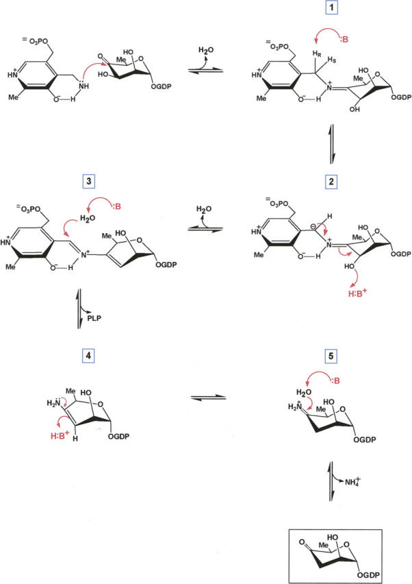 Scheme 3.