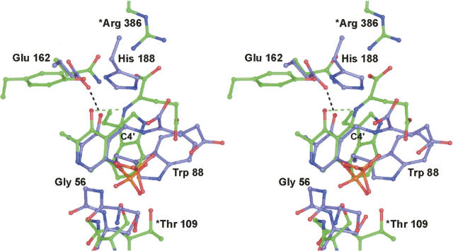 Figure 6.