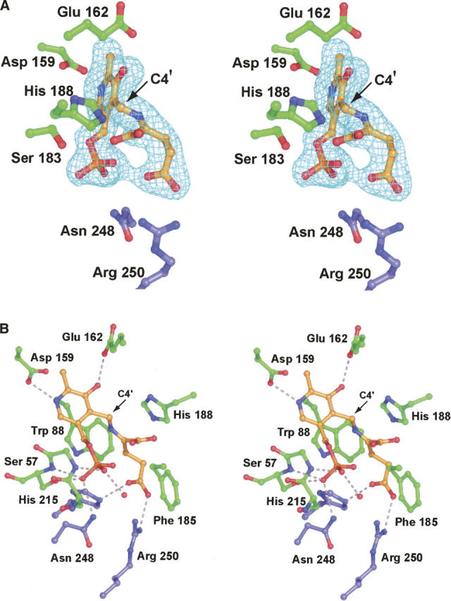 Figure 3.