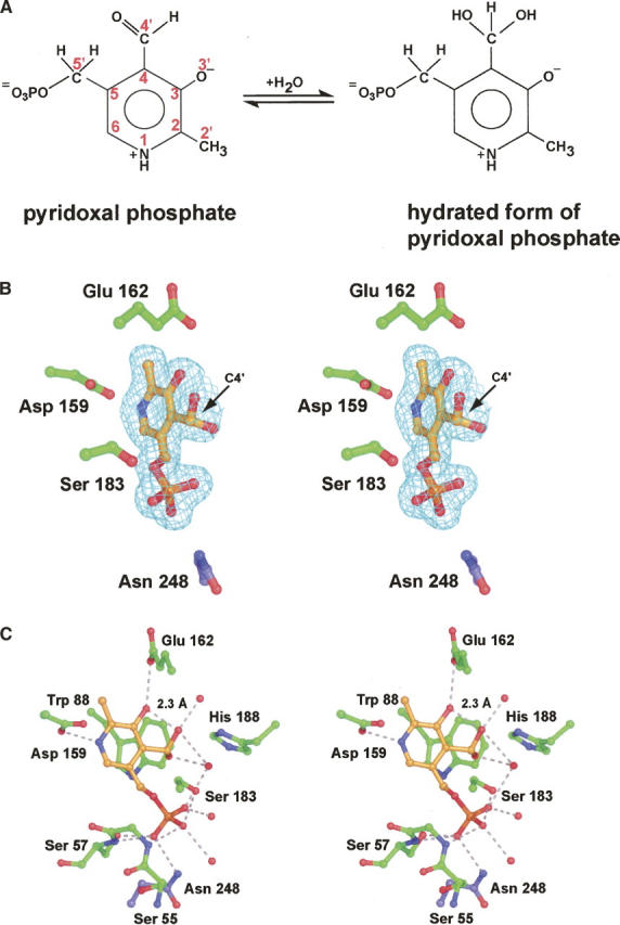 Figure 2.