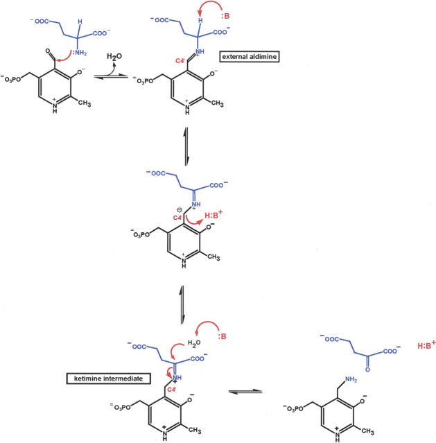 Scheme 2.