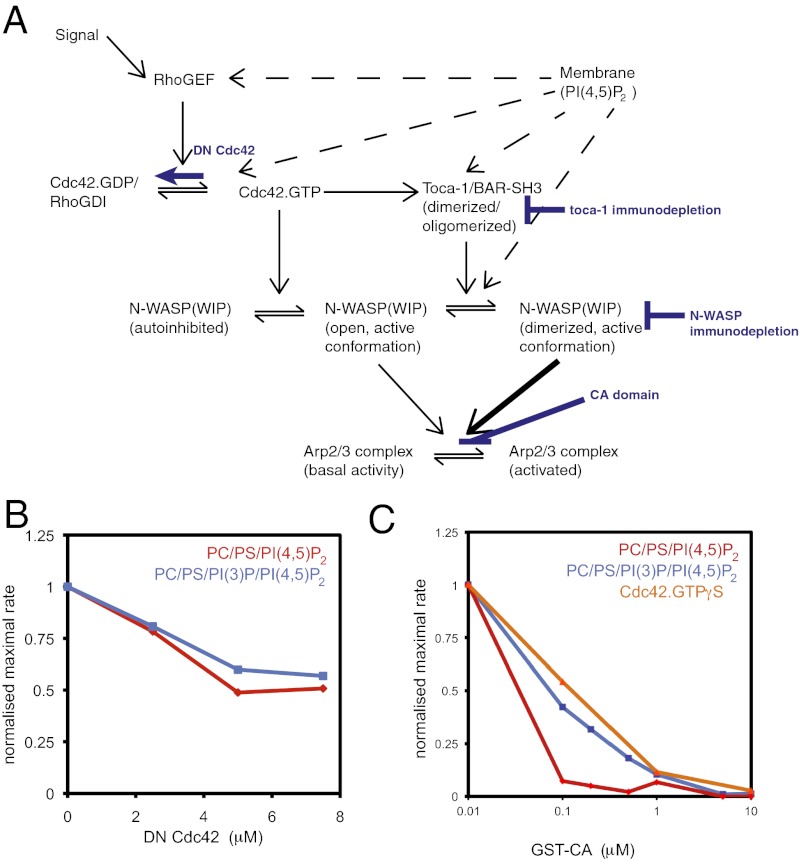 Fig. 4.