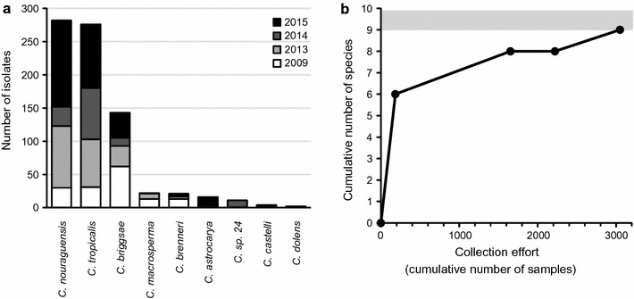 Fig. 2