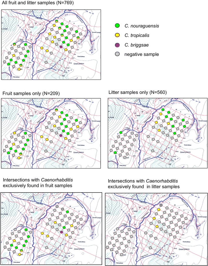 Fig. 3