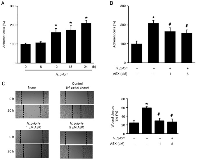 Figure 2.