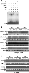 FIG. 1.