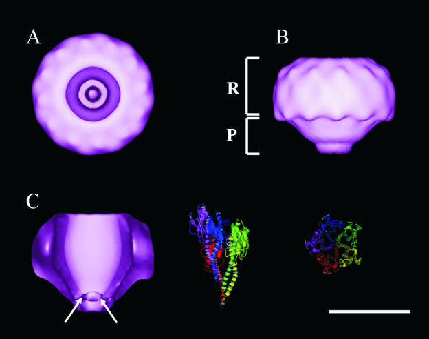 FIG. 3.